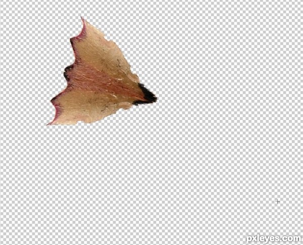 Creation of Butterfly: Step 2